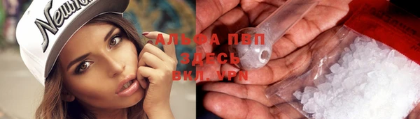 стаф Алексин