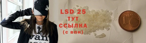 стаф Алексин