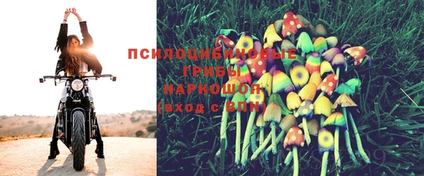 круглые Алексеевка