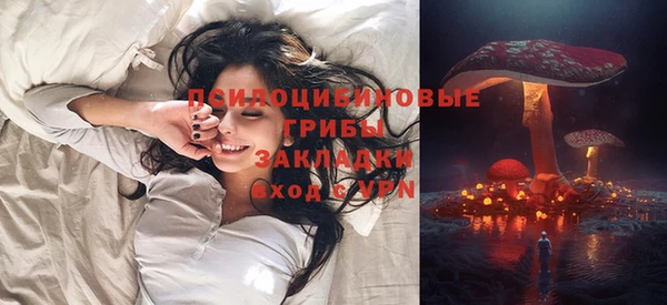 стаф Алексин