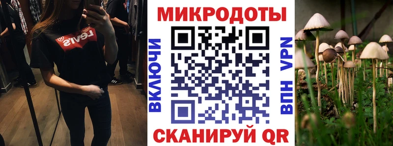 гидра как войти  Тосно  Псилоцибиновые грибы Psilocybe 